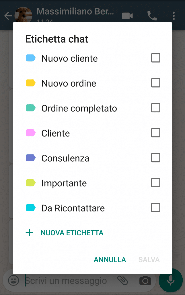 whatsapp business guida